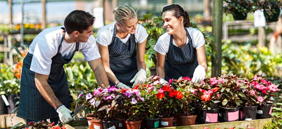 Administrative Services Organization